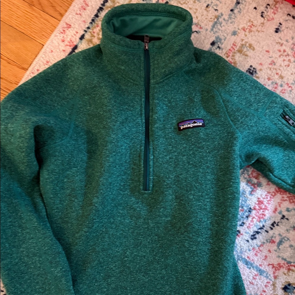 Patagonia pull over